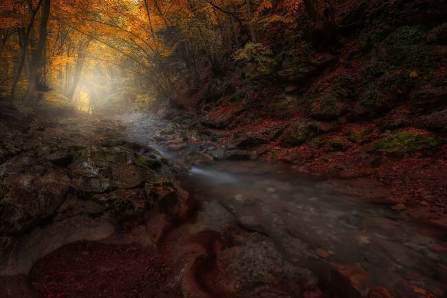 The Season of the Fall Kirill Volkov