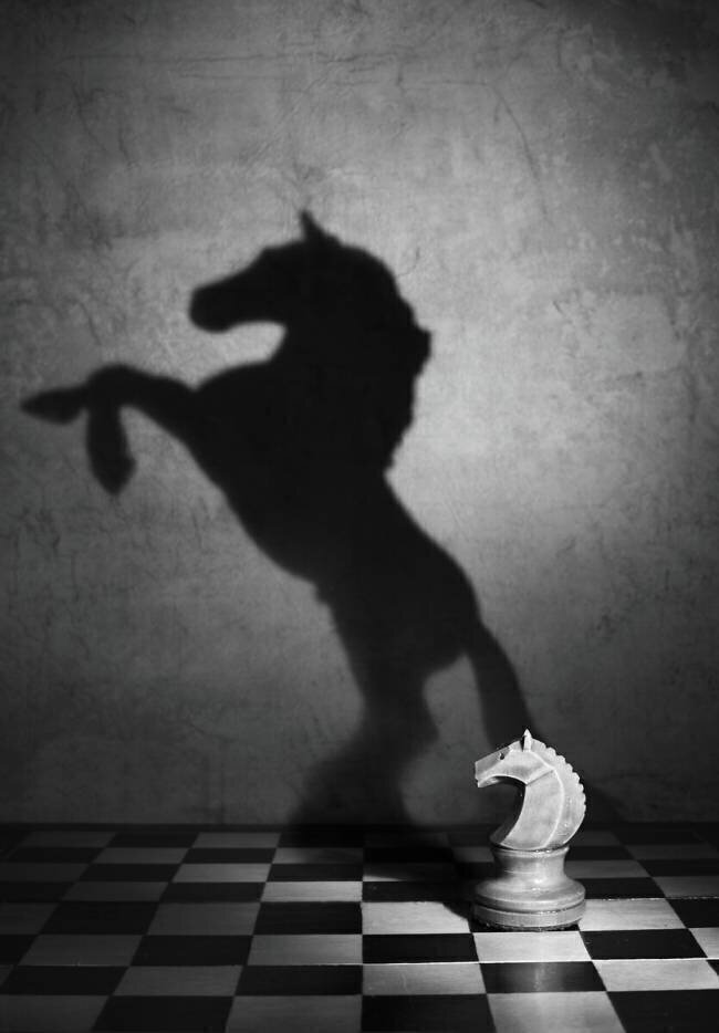 The soul of a mustang Victoria Ivanova