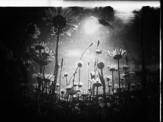There is always a piece of sky Delphine Margau