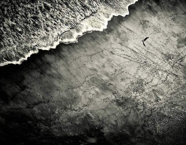 They Are Watching Mirela Momanu