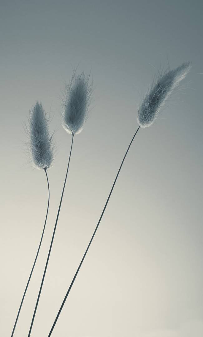 Three of us Heidi Westum