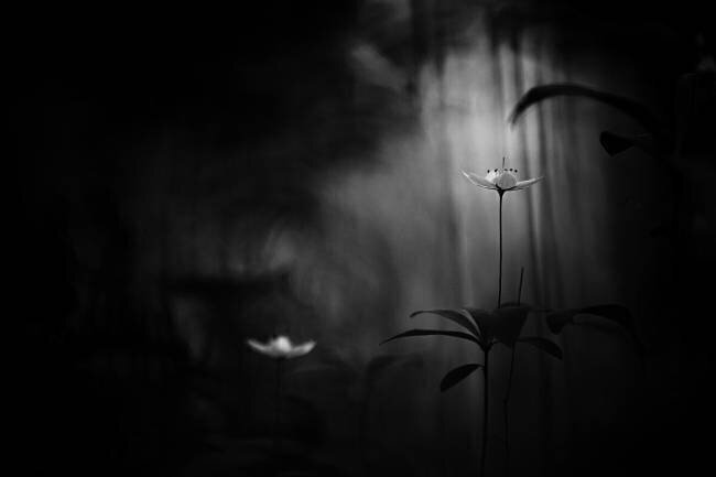 Together Mika Suutari