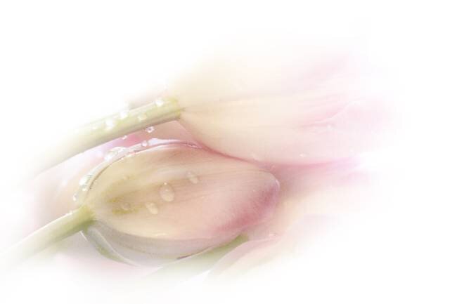 Touching Stefan Eisele