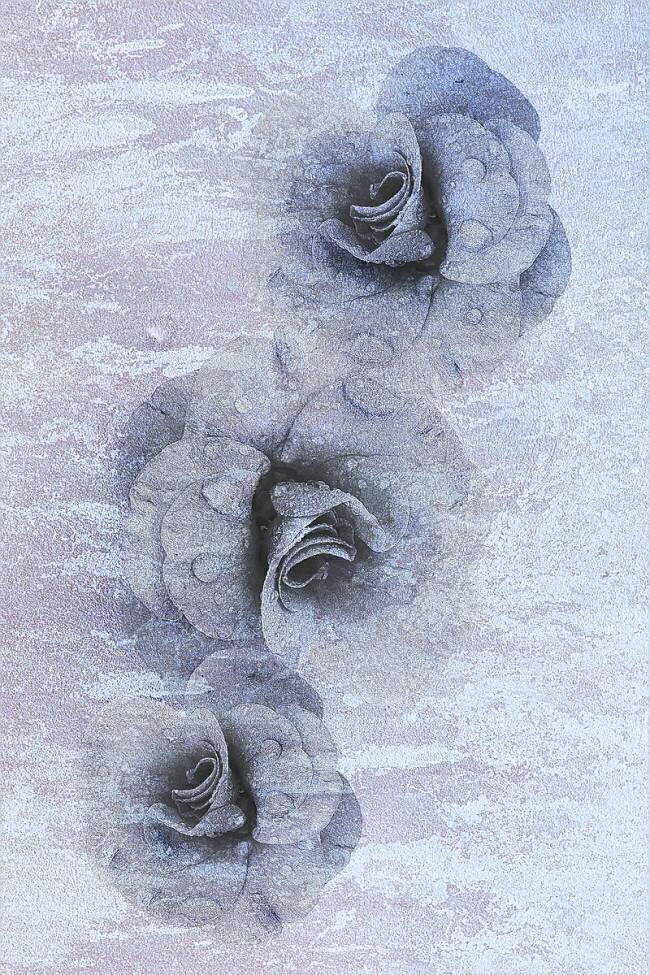 Traces of fading beauty Ludmila Shumilova
