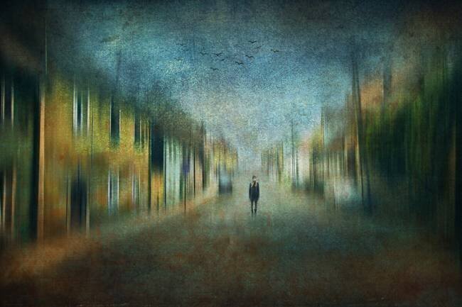 The alley of my dreams Ewa Calkosinska-Kajzer