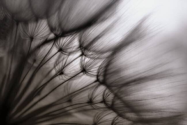 Untitled Keren Or
