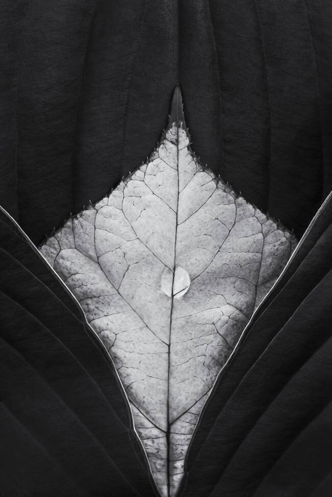 Untitled Stephen Clough
