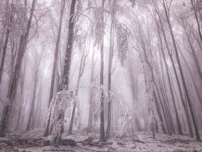 Untitled Stanislav Hricko