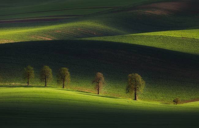 Untitled Tomasz Rojek