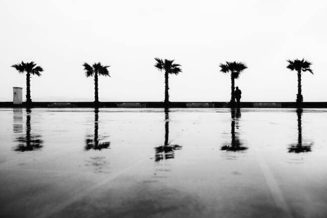 Untitled Ali Ayer