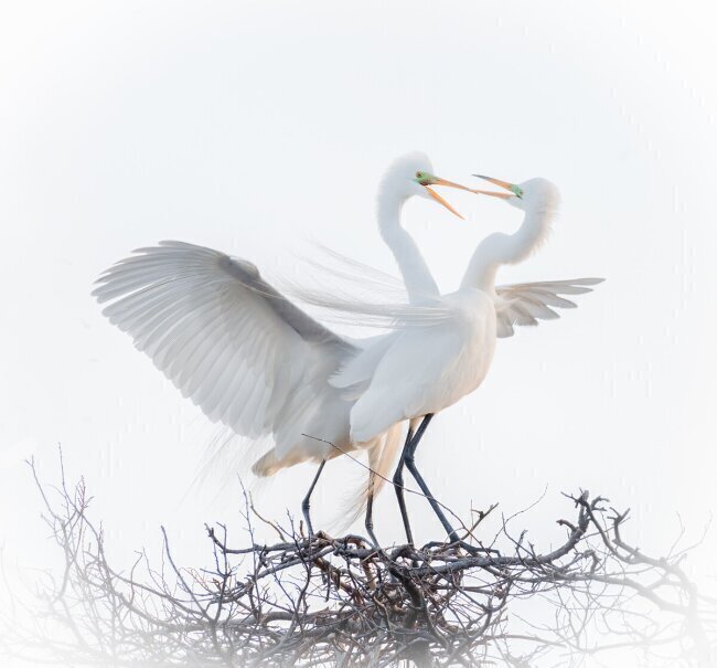 Untitled Alex Li