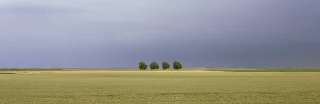 Untitled Max Witjes