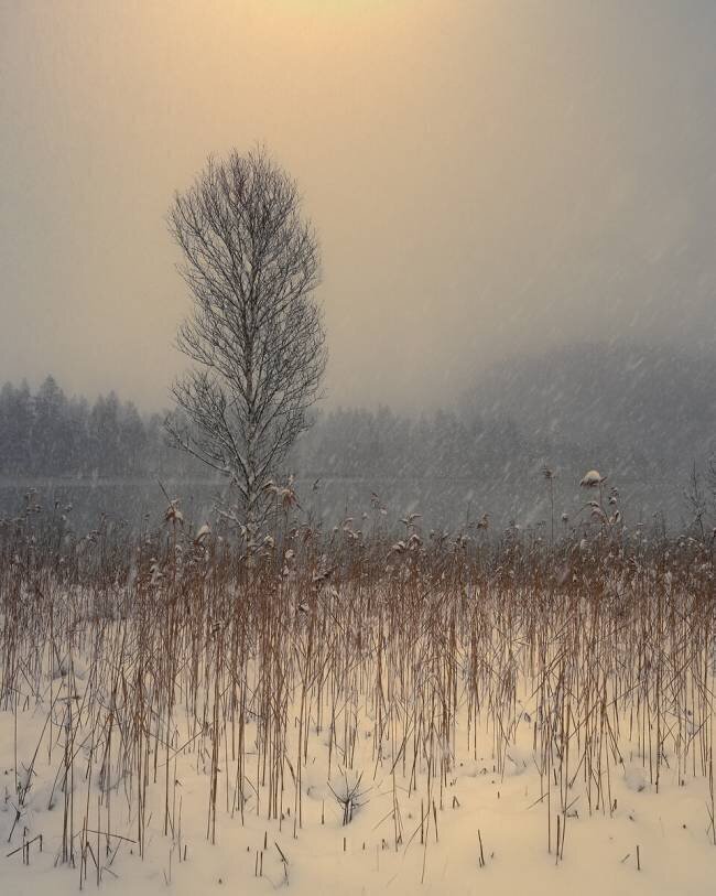 Untitled Anastasios Gialopoulos