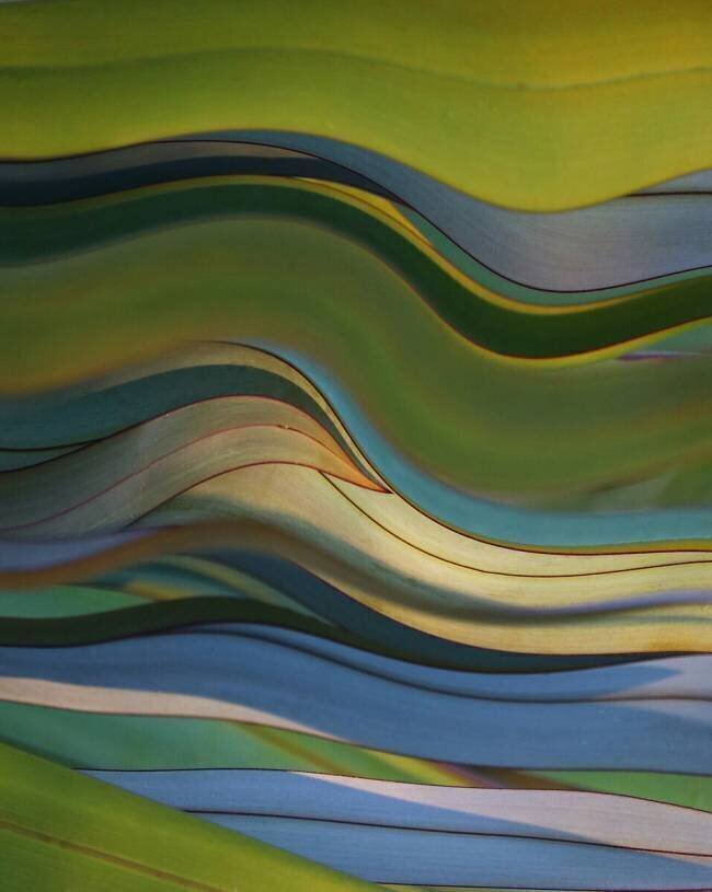 Untitled Robin Wechsler