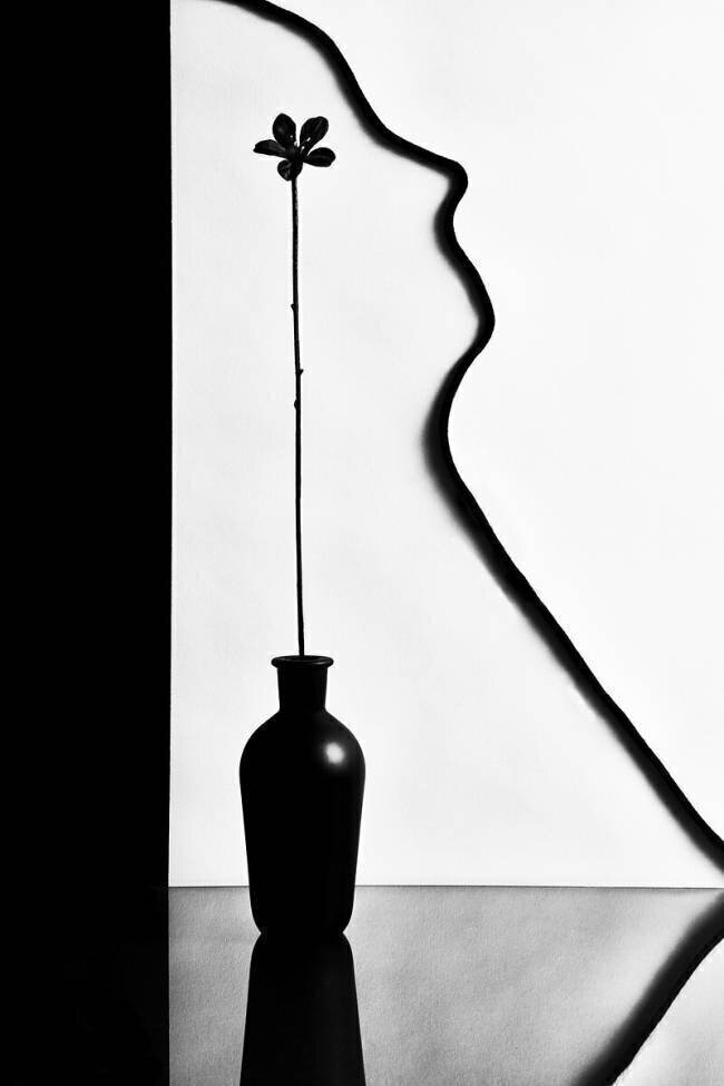 Untitled Stephen Clough