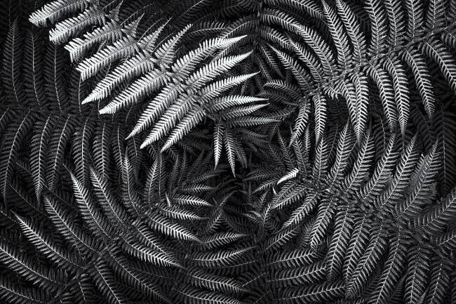 Untitled #56 Gary E. Karcz
