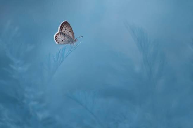 Waiting Edy Pamungkas