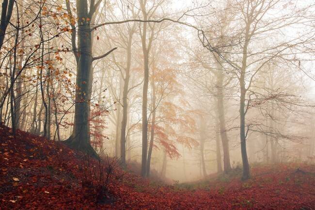 Waiting for the deer Leif Londal