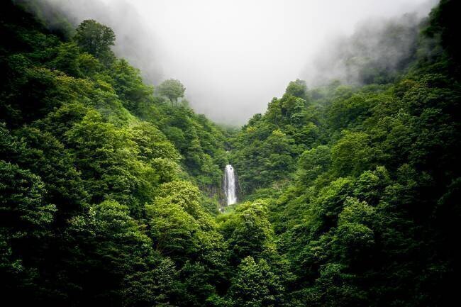 Waterfall where fog flows Yuusuke Hisamitsu
