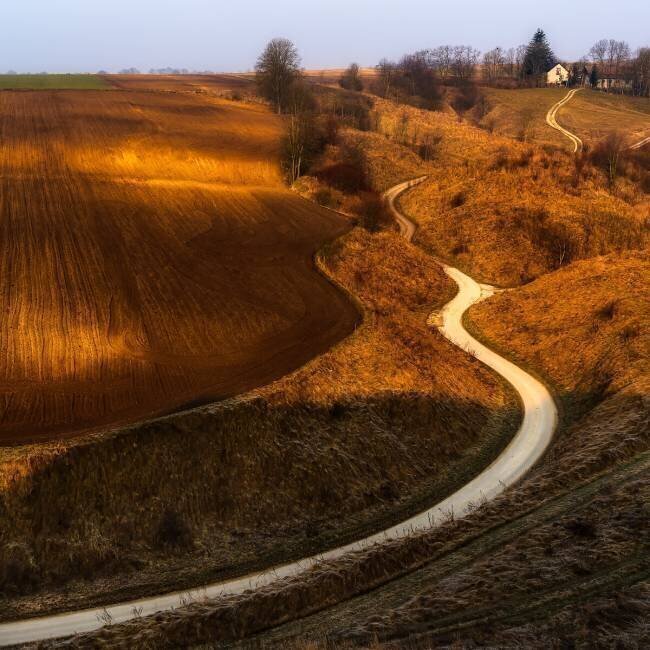 Way home Slawomir Kowalczyk