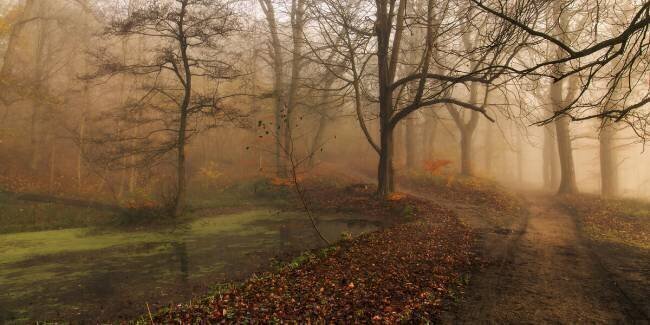 Which Path II Leif Londal