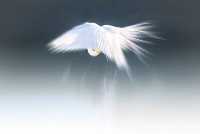White angel Larry Deng