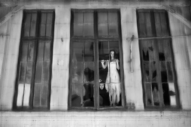 Windows Livia Corcoveanu