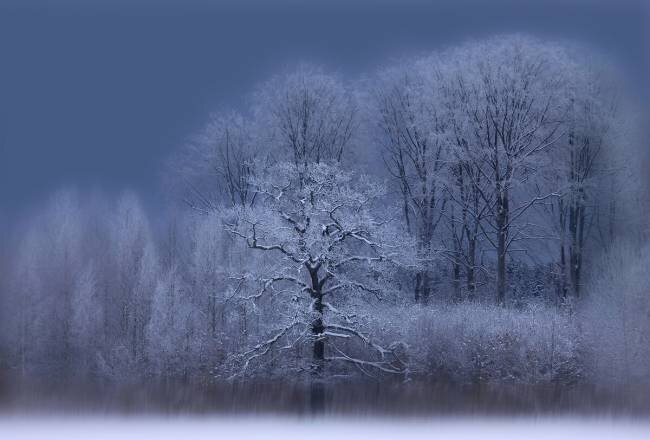 Winter Allan Wallberg
