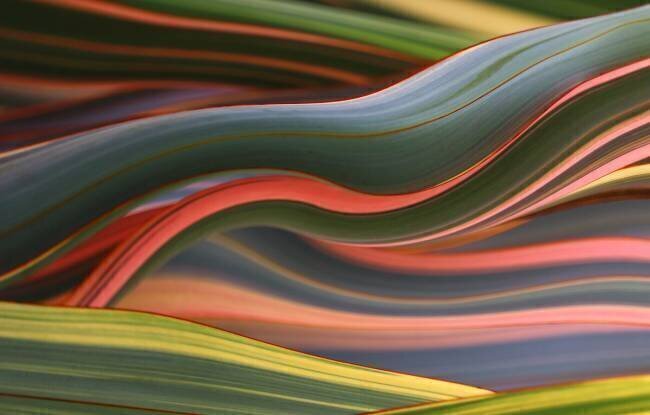 Winters Complicated Colors Robin Wechsler
