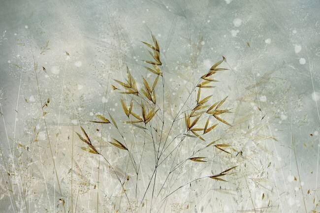 Wintertime Nel Talen