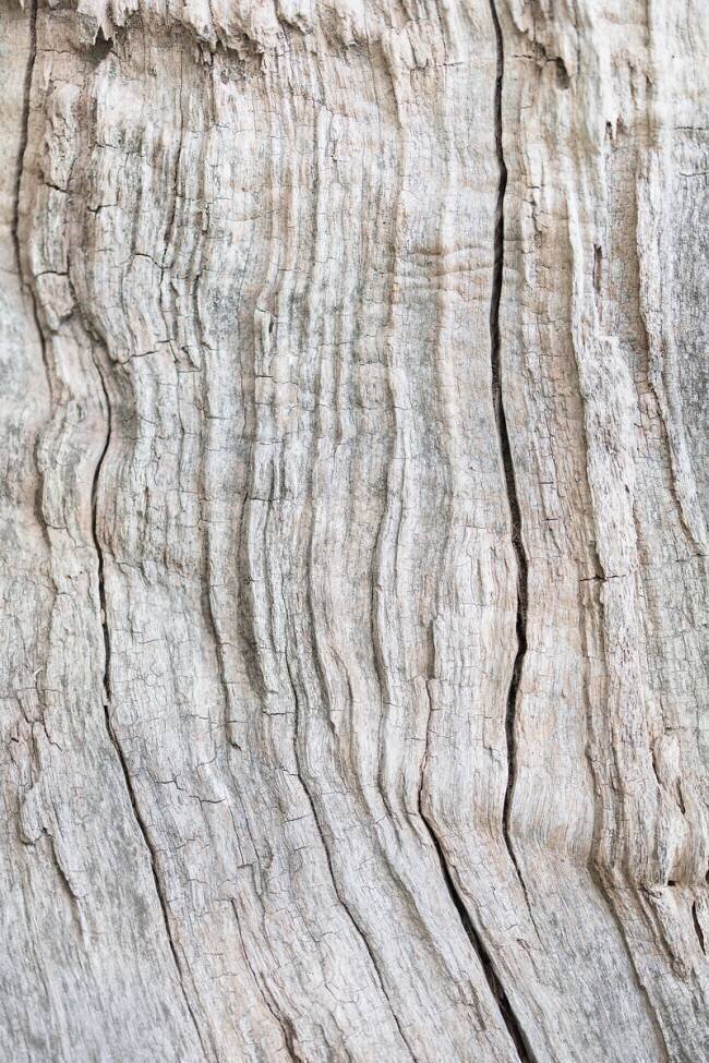 Wood Pattern 1x Studio III