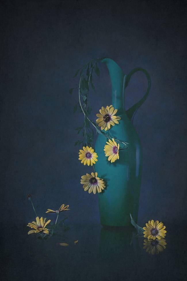 Yellow Daisies Lydia Jacobs