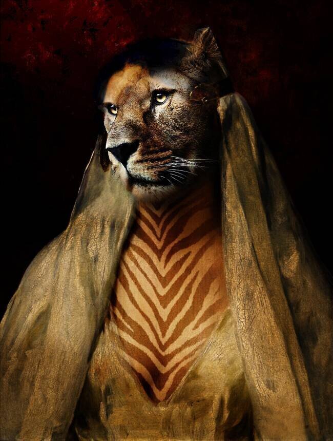 Zebra Lioness Enza Paoli
