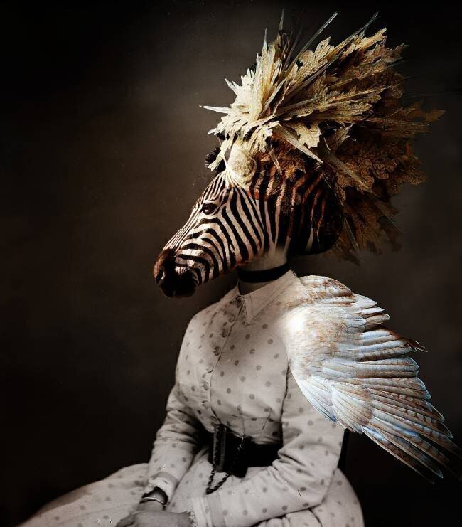 Zebra Wings Enza Paoli