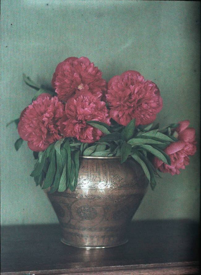 Vase en cuivre et pivoines anonymous