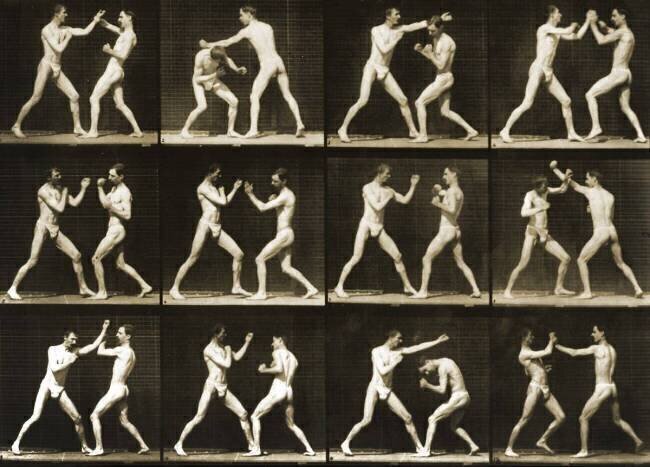 Animal Locomotion : Deux hommes boxant Eadweard Muybridge