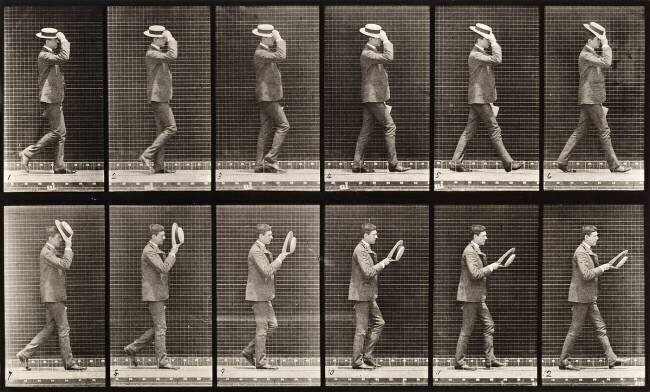 Animal Locomotion : Homme au chapeau marchant Eadweard Muybridge