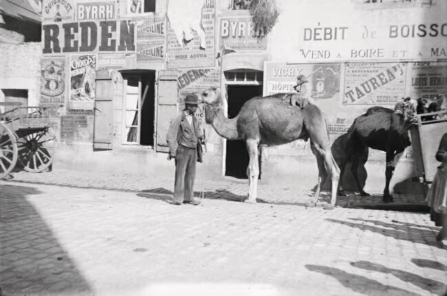Dromadaire et singe appartenant à des nomades anonyme