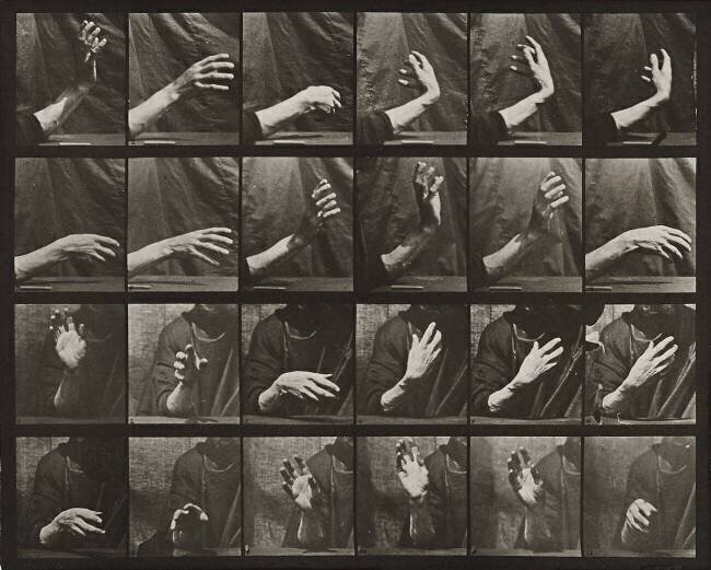 Mouvement de la main : battre le temps Eadweard Muybridge