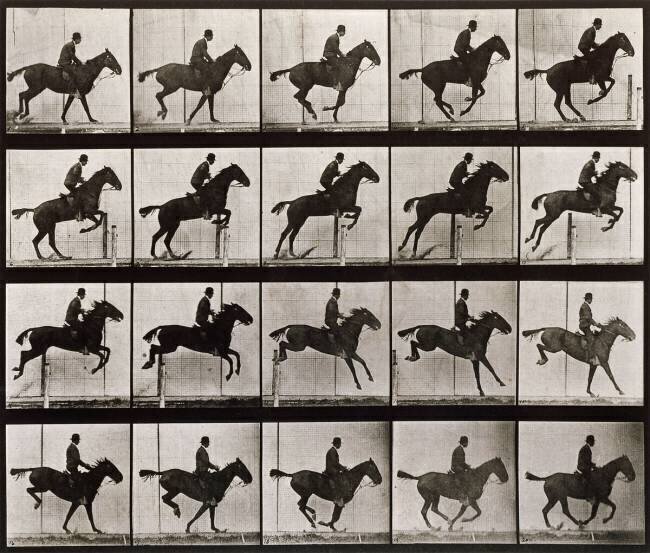 Saut d'obstacle, cheval noir Eadweard Muybridge
