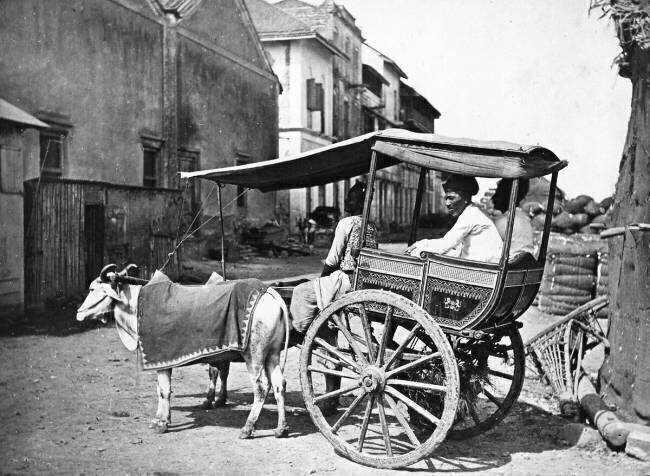 Bombay Hackery Francis Frith