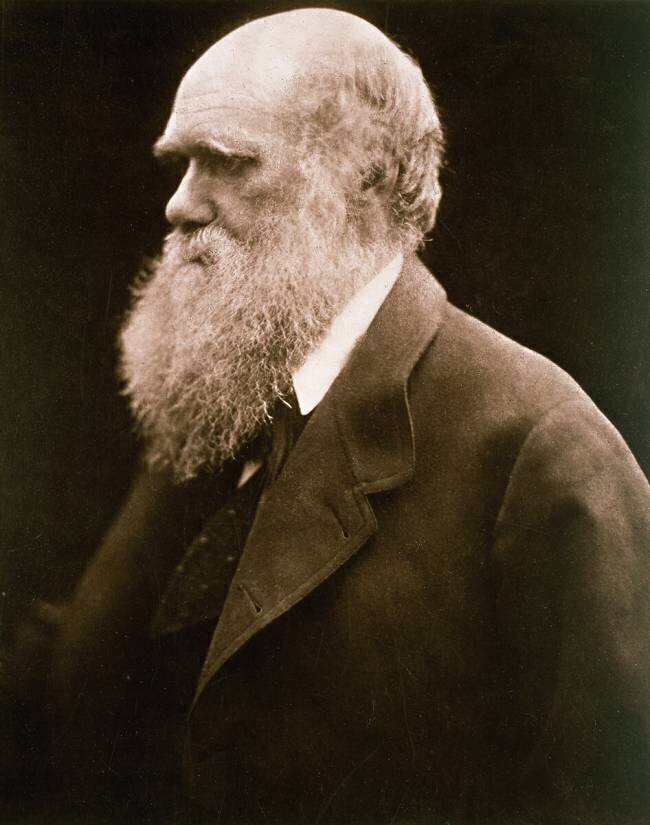 Charles Darwin Julia Margaret Cameron