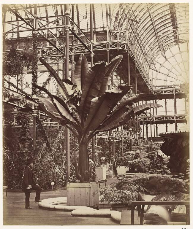 Crystal Palace : Nef près de la jonction du transept Nord, vers le Nord Henry Negretti