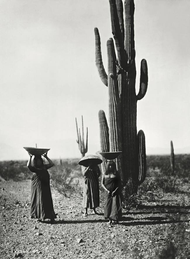 Indiennes Maricopas Edward S. Curtis