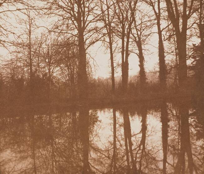 Reflets William Henry Fox Talbot