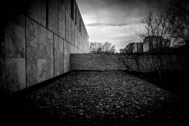 Barnes Foundation Nº2 Guilherme Pontes
