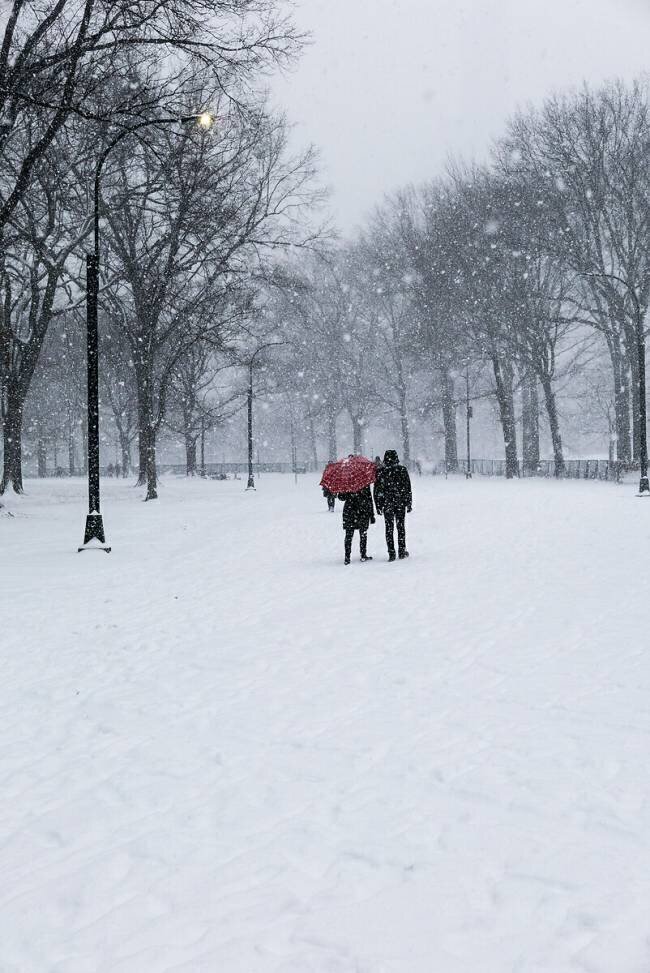 Central Park Winter Lovers Guilherme Pontes