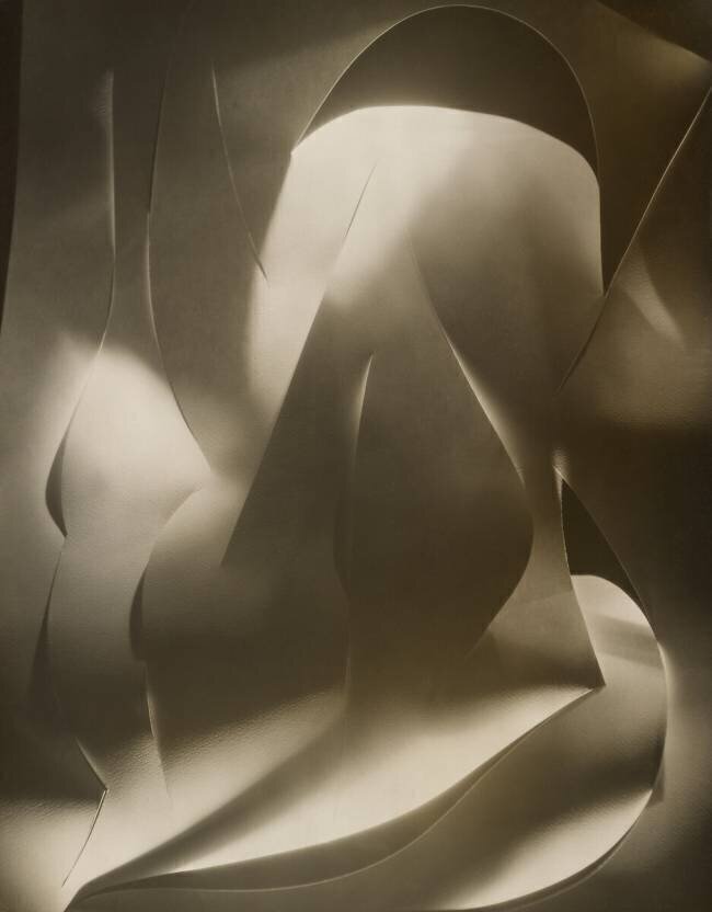 Cut-paper Abstraction Francis Bruguière