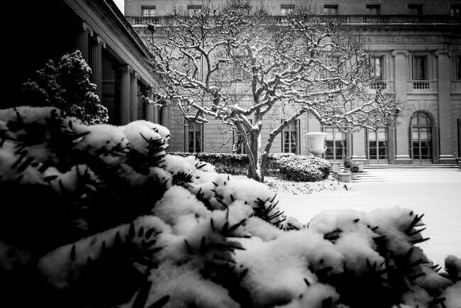 Frick Collection Winter Nº3 Guilherme Pontes