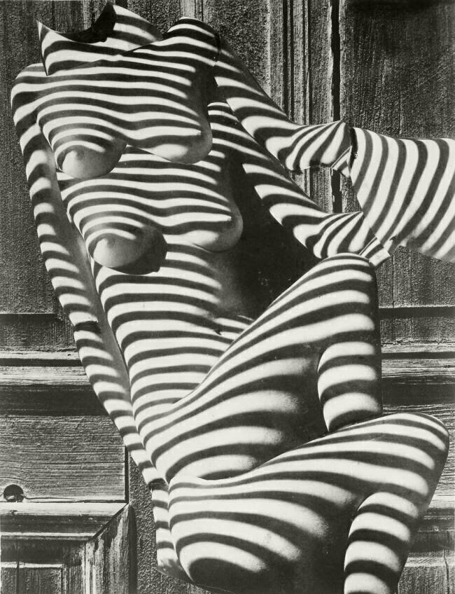 Zebra Ladies, 1948  Karel Teige